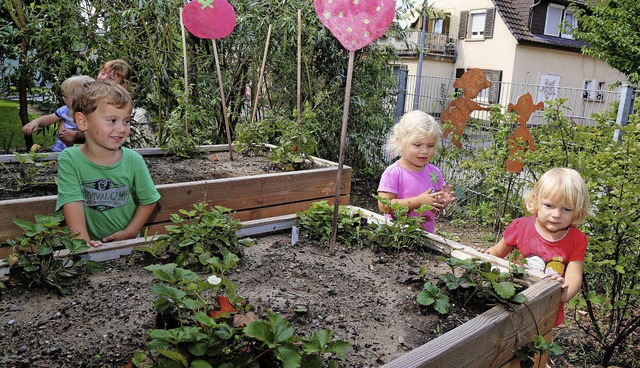 Das letzte Hochbeet hatte der Kinderga...omaten- und Erdbeerbeete eingerichtet.  | Foto: Sandra Decoux-Kone