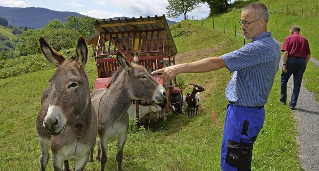 Klaus Rmmele hat Esel und Ziegen. Let...ihm, sein Weidfeld zu bewirtschaften.   | Foto: Michael Reich