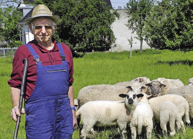 Alois Leimgruber mit seinen Schafen in Kirchhofen  | Foto: Sophia Hesser