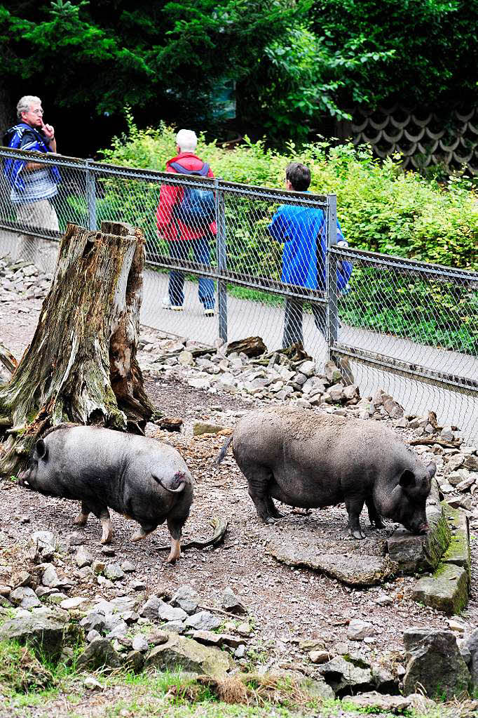 Radeln in den Schwarzwaldzoo nach Waldkirch Radeln in den Schwarzwaldzoo nach Waldkirch