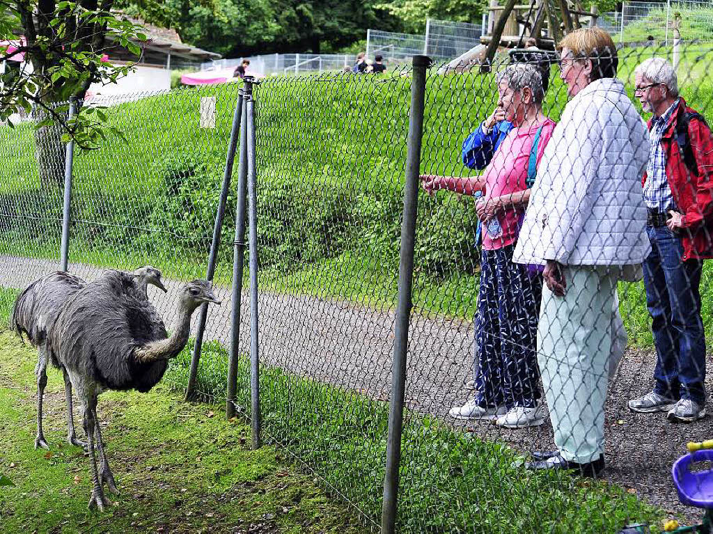 Radeln in den Schwarzwaldzoo nach Waldkirch Radeln in den Schwarzwaldzoo nach Waldkirch