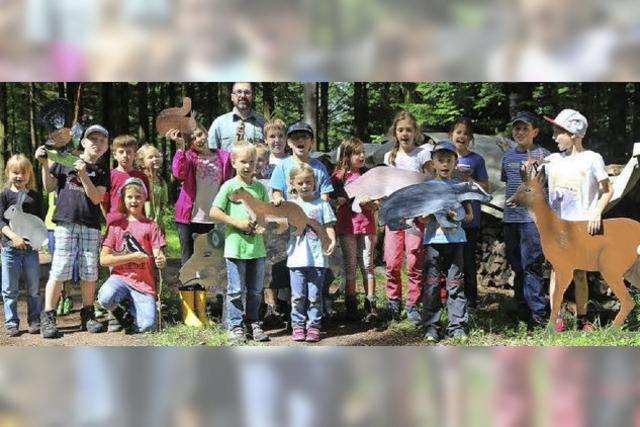 Den Wald vor lauter Bumen gesehen