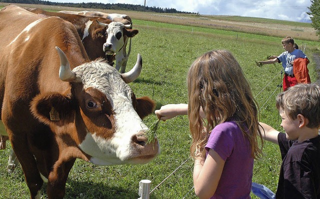 Ganz schn gro: Die Khe von Herbert ...ar so manchem Kind nicht ganz geheuer.  | Foto: Christiane Sahli