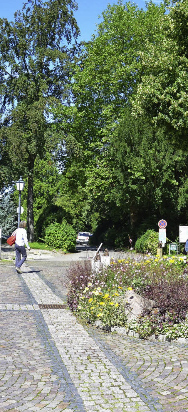 Einige Strucher und Bume auf dem Schlossplatz Badenweiler mssen weichen.   | Foto: Sigrid Umiger