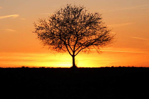 Peter Stickelberger: In der Abendsonne bei der Daur-Htte in tlingen.