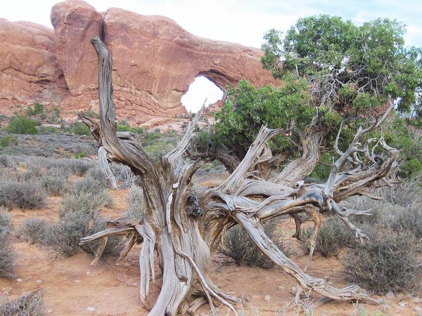 Waltraud Hengst: Impression aus dem Monument Valley