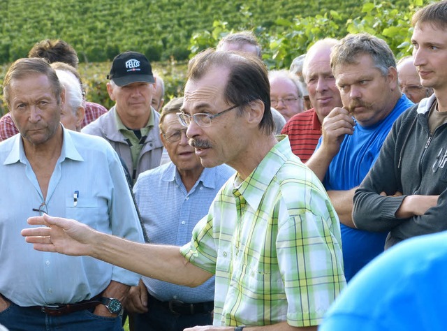 Bedrckte Mienen bei Winzern: Weinbauberater Bernhard Ganter in Oberweier.   | Foto: frank leonhardt