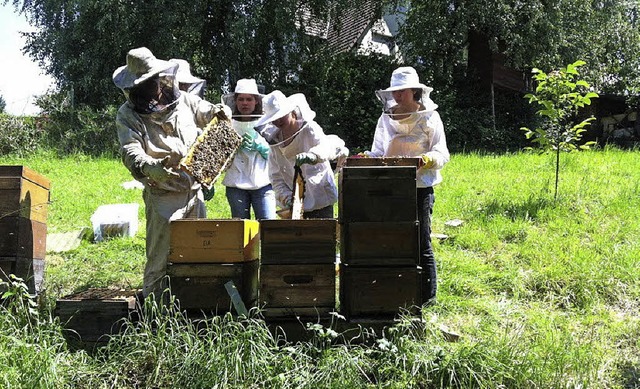 Bienen machen keien Ferien, und so war...en Ferien gucken mssen sie auch mal.   | Foto: Privat