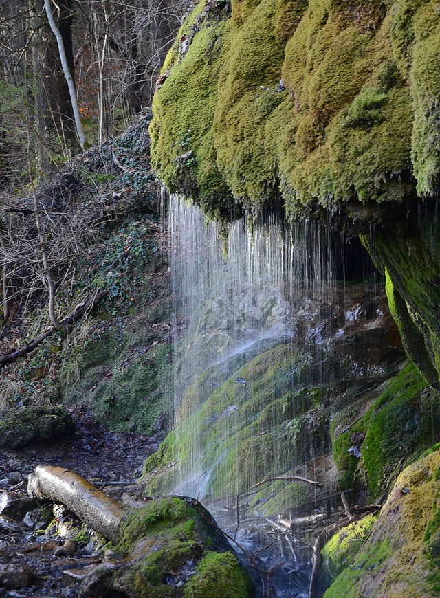 Viele &#8222;Naturwunder&#8220; birgt ...uffstein-Wasserfall bei der Dietfurt.   | Foto: Zapf