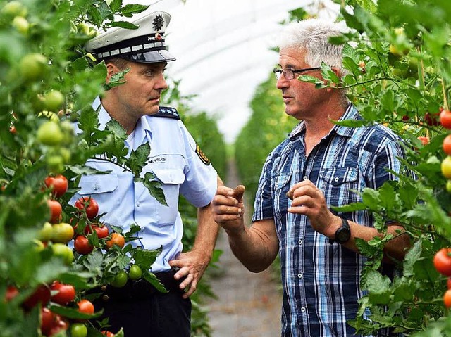 Polizist Alexander Willwert und Grtner Hans Hornig zwischen Tomatenstauden   | Foto: dpa