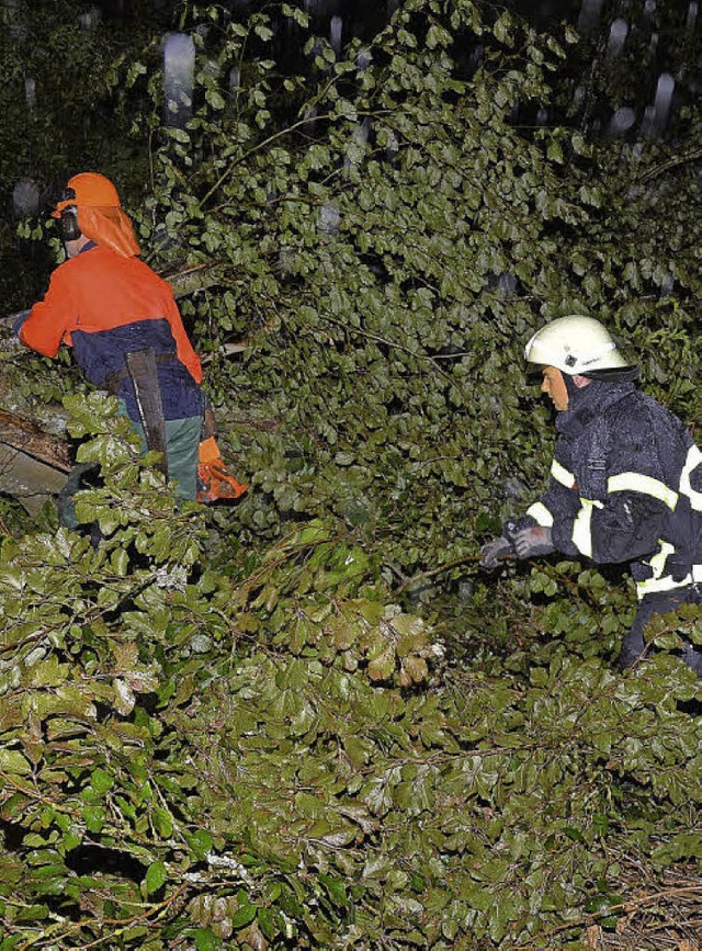 Feuerwehr und Arbeiter bei den Baumfllarbeiten   | Foto: Kamera 24