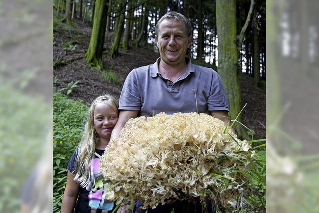 Anna und Martin Schneider finden Prachtexemplar einer Krausen Glucke