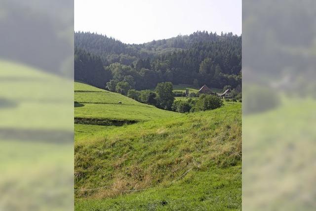 Als es im Wildtal noch Silber gab