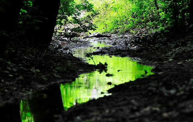 Nach den Regenfllen der vergangenen T... der dortigen Grundwasserproblematik.   | Foto: Thomas Kunz