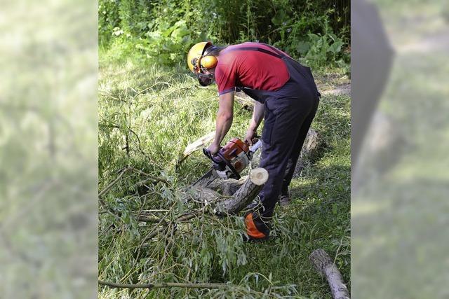 RHEINGEFLSTER: Herbstliches Wetter im August