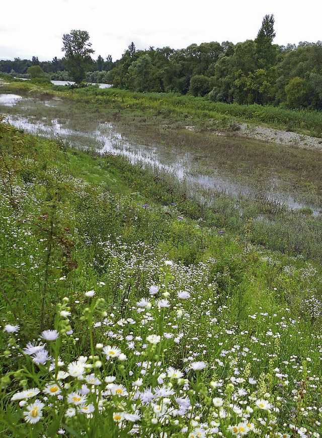 Mal natrlich wie bei Kleinkems (links...und Eschen wieder fast verschwinden.    | Foto: langelott (2)/Lauber