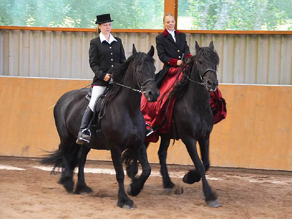 Die Welt der Pferde war zu Gast auf dem Bellihof in Ebnet.