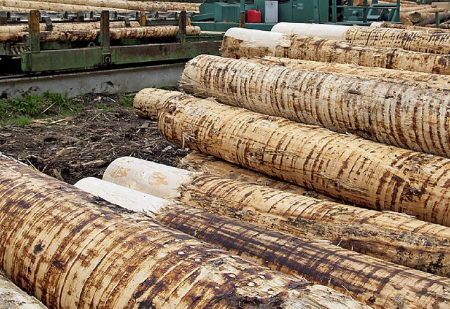 Holz bestellt, aber nicht bezahlt: Des...etzt eine gute  Stange Geld bezahlen.   | Foto: bz