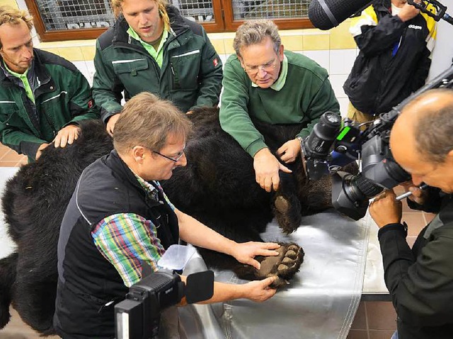 Operation gelungen, Patient lebt.  | Foto: brenpark