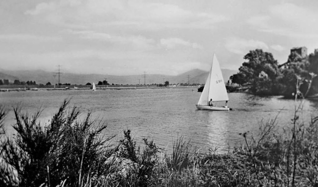 Auch das ist der Gifizsee &#8211; eine... das Ufer ringsum kaum bewachsen war.   | Foto: BZ