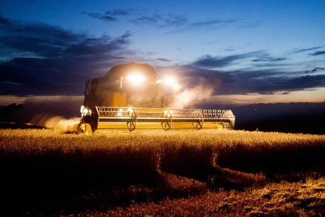 Erntebilanz: Landwirte fahren Spitzenernte ein