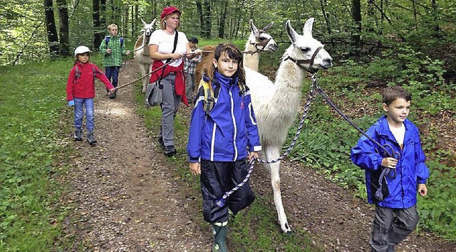Mit Lamas durch den Wald. Das Ferienan...Maulburg kommt bei den Kindern gut an.  | Foto: zvg