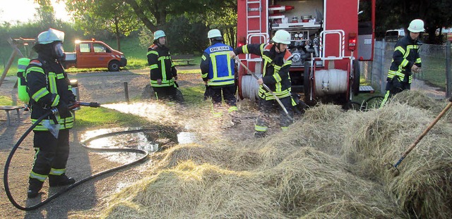 Feuerwehreinsatz beim Tiergehege am Gifizsee.   | Foto: Feuerwehr OG