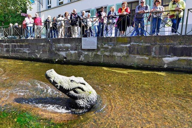 Unbekannte haben Freiburgs Krokodil den Kopf verdreht