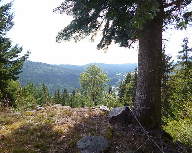 Die Hilda-Hhe ist lngst zugewuchert,...ite zeugt noch von dem Aussichtspunkt.  | Foto: Thomas Mutter