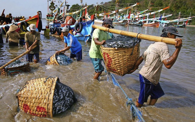 Indonesische Fischer beim Abladen nach einem offensichtlich erfolgreichen Fang.   | Foto: AFP