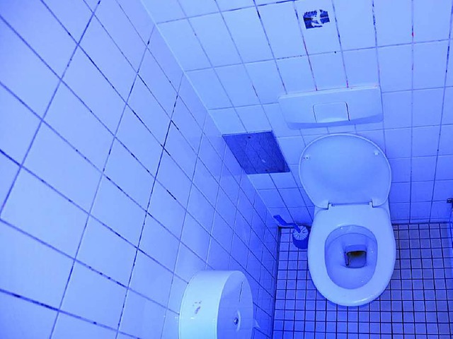 Kein schner Anblick: Eine der Toiletten unter den Pagoden   | Foto: apR