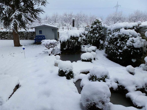 Hans-Dieter Nagel: Garten im Winter