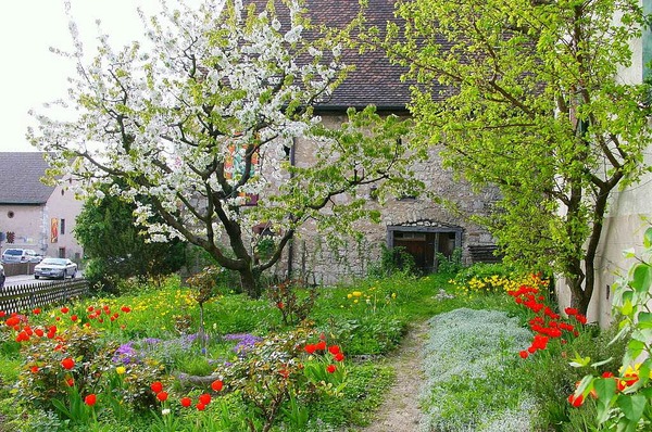 Dieter Rsch: Frhling im eigenen Garten in tlingen