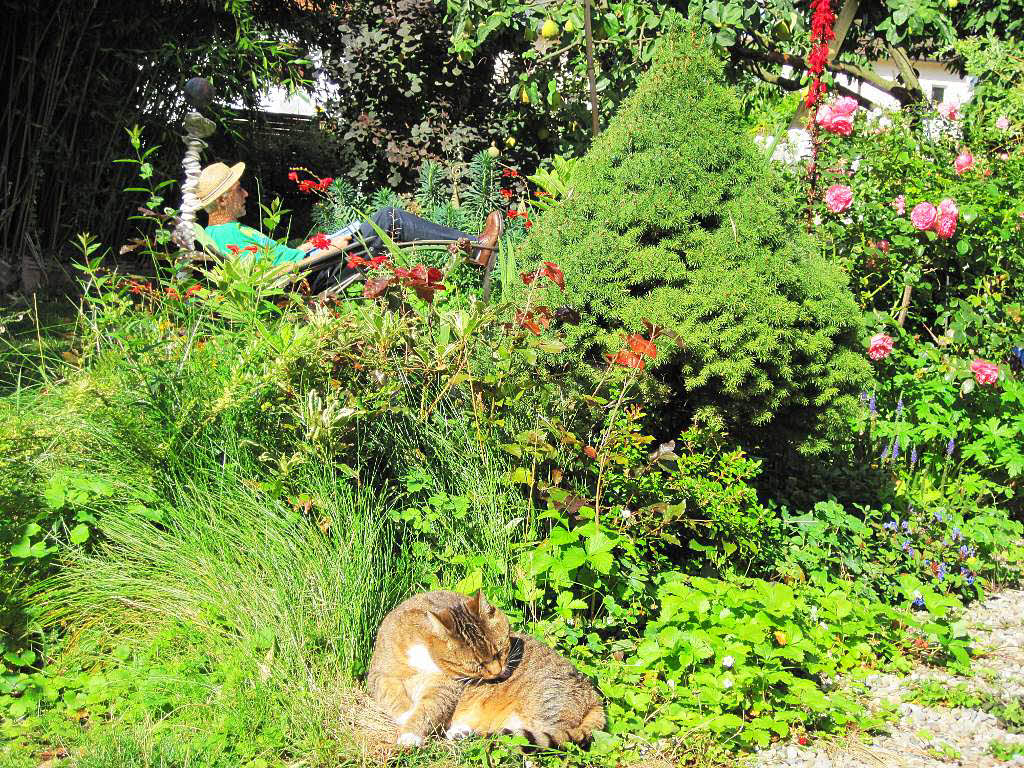Ute Seufert-Satomi: Katze und Gatte entspannen im Garten