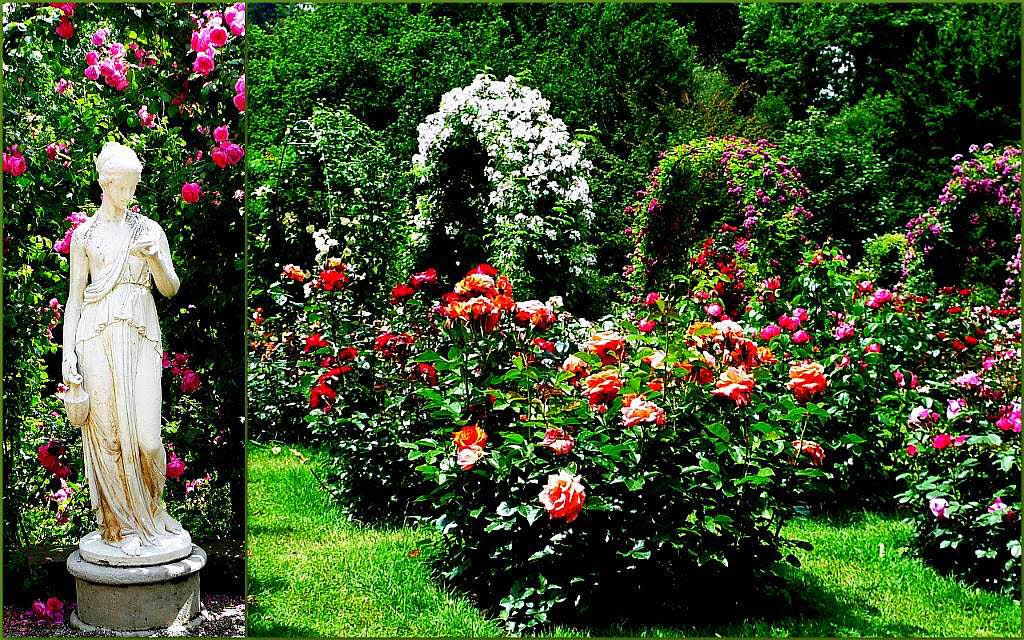 Helga Noor: Fr Rosenliebhaber ist der Rosenneuheiten-Garten in Baden-Baden ein schnes Ausflugsziel.