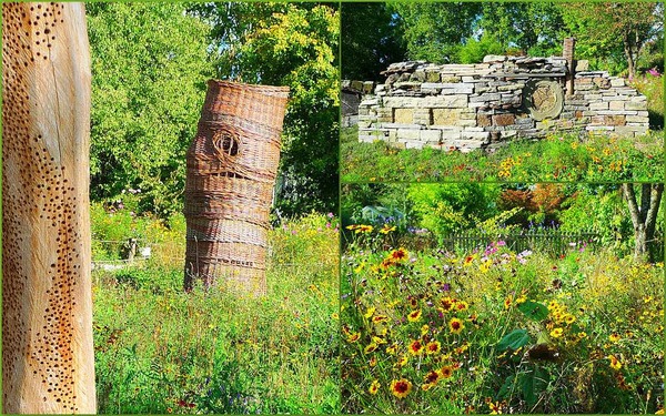 Helga Noor: Viele Anregungen findet man im wunderbaren Insektengarten auf der herrlichen Blumeninsel Mainau.