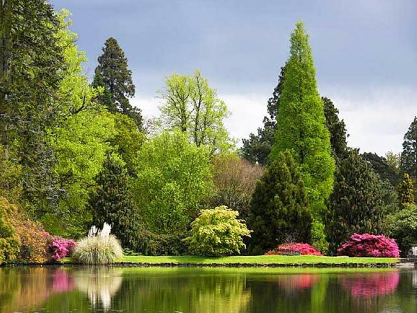 Jrgen Friedlein: Zwischen zwei Regenschauern (Sheffield Park Garden in England)