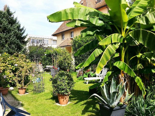 Jessica Graf: Unser eigener Garten hinterm Haus mitten in der Stadt.