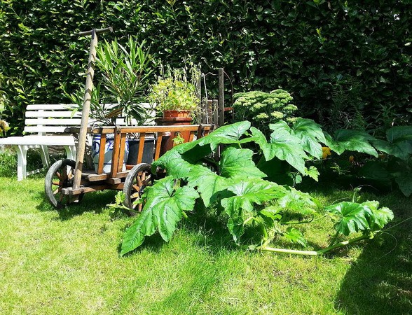Jessica Graf: Unser eigener Garten hinterm Haus mitten in der Stadt.