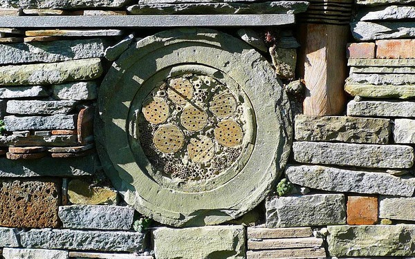 Helga Noor: von nah besehen, eine Wildbienen-Mauer im Insektengarten der Blumeninsel Mainau