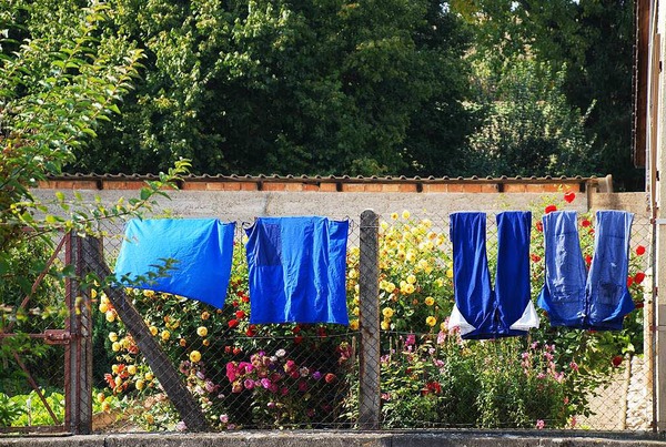 Renate Sell: Garten in Kandern