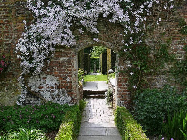 Jrgen Friedlein: Clematis bewachsene Mauer in Sissinghurst, Kent, England