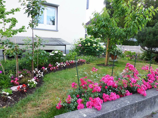 Elisabeth Gut: Wir haben vor 6 Jahren das Haus am Unterbaselweg gekauft, dessen Garten fast ausschlielich aus alten Bumen und Bschen bestand. Hier das Resultat unserer Arbeit!