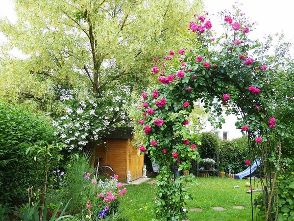 Elisabeth Gut: Wir haben vor 6 Jahren das Haus am Unterbaselweg gekauft, dessen Garten fast ausschlielich aus alten Bumen und Bschen bestand. Hier das Resultat unserer Arbeit!