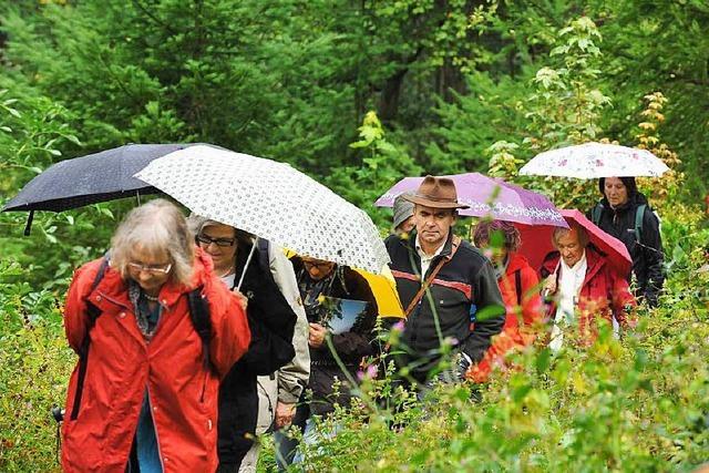 Fotos: BZ-Ferienaktion im Sternwald