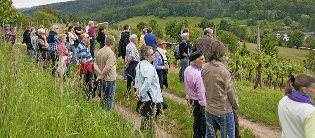 &#8222;Wein und Geschichte&#8220; &#82...rbild fr die anderen Stadtteile sen.   | Foto: olaf Michel (Archiv)