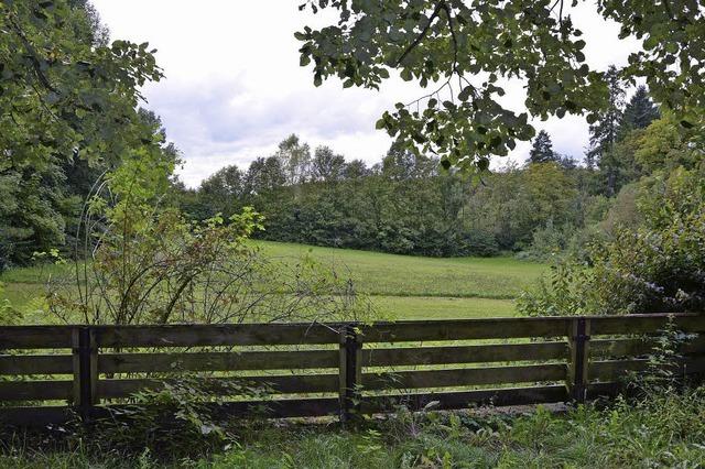 Campingplatz kommt frhstens 2016