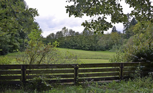 Auf dieser Wiese im Norden Bad Scking...ts- und Gemeinderat abgenickt werden.   | Foto: Martin Herceg