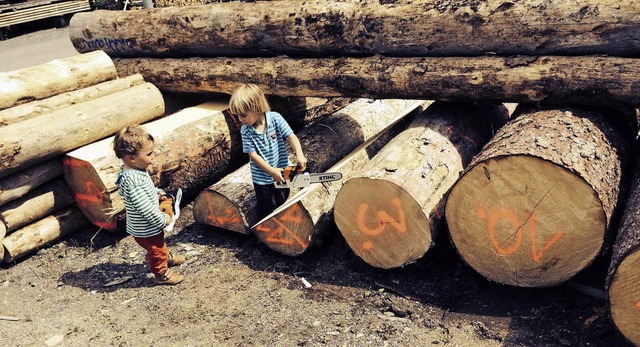 Das Holz liegt bereit, die Bildhauer knnen kommen.  | Foto: Fritz Will