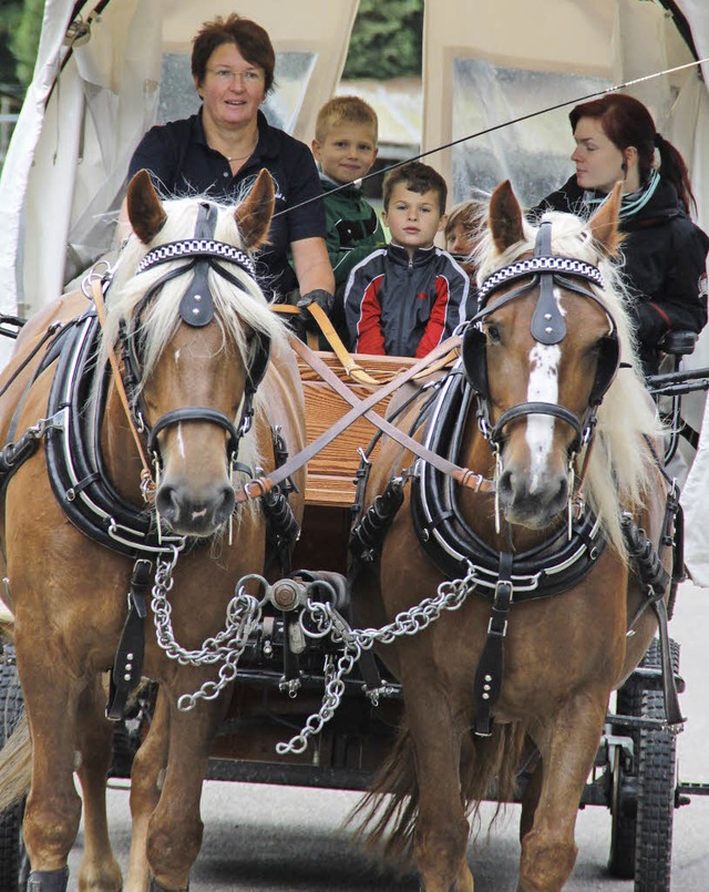 Ein Tag  mit den Pferden Illie und Alf...dem aktuellen Spieldorf-Ferienprogramm  | Foto: Moritz Lehmann